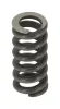 Feder, Schalld&auml;mpfer WALKER 82513