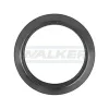 Dichtung, Abgasrohr hinten Mitte vorne WALKER 86115 Bild Dichtung, Abgasrohr hinten Mitte vorne WALKER 86115