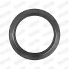 Dichtung, Abgasrohr hinten Mitte vorne WALKER 86115 Bild Dichtung, Abgasrohr hinten Mitte vorne WALKER 86115