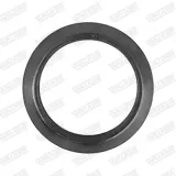 Dichtung, Abgasrohr hinten Mitte vorne WALKER 86115