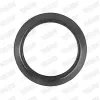 Dichtung, Abgasrohr hinten Mitte vorne WALKER 86149 Bild Dichtung, Abgasrohr hinten Mitte vorne WALKER 86149
