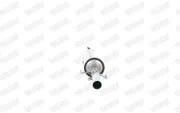 Ruß-/Partikelfilter, Abgasanlage WALKER 93334