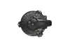 Innenraumgebläse 12 V WALKER WBL00928 Bild Innenraumgebläse 12 V WALKER WBL00928