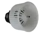 Innenraumgebläse 12 V WALKER WBL01051 Bild Innenraumgebläse 12 V WALKER WBL01051