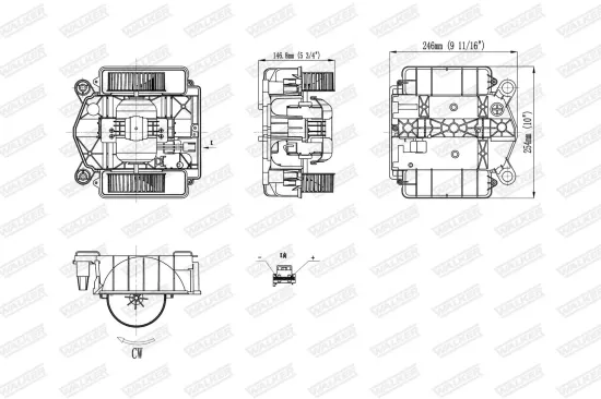 Dichtung, Abgasrohr hinten Mitte vorne WALKER 80024 Bild Dichtung, Abgasrohr hinten Mitte vorne WALKER 80024