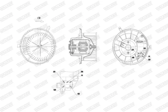 Dichtung, Abgasrohr hinten Mitte vorne WALKER 80073 Bild Dichtung, Abgasrohr hinten Mitte vorne WALKER 80073