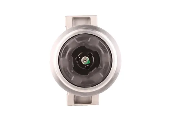 Kompressor, Klimaanlage WALKER WCP00317 Bild Kompressor, Klimaanlage WALKER WCP00317