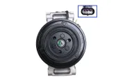 Kompressor, Klimaanlage 12 V WALKER WCP00404