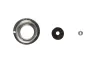 Stoßdämpfer Hinterachse BILSTEIN 19-240848 Bild Stoßdämpfer Hinterachse BILSTEIN 19-240848