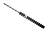 Stoßdämpfer Vorderachse BILSTEIN 21-030543 Bild Stoßdämpfer Vorderachse BILSTEIN 21-030543