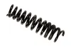 Fahrwerksfeder Hinterachse BILSTEIN 36-134335