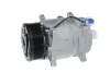 Kompressor, Klimaanlage 12 V VALEO 690029