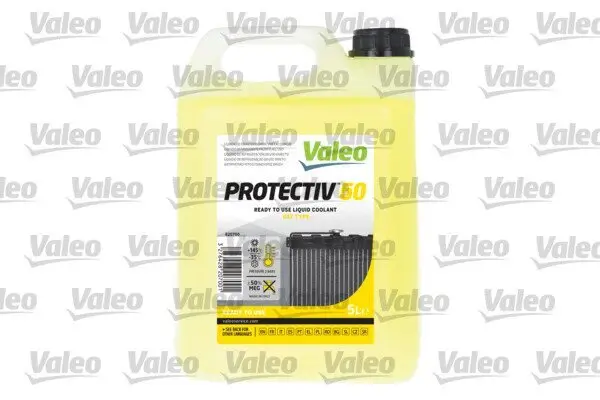 Frostschutz VALEO 820700