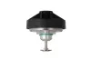 AGR-Ventil VALEO 703266 Bild AGR-Ventil VALEO 703266