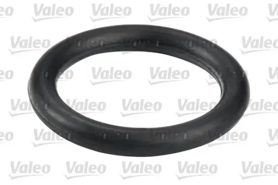 Kraftstofffilter VALEO 587557 Bild Kraftstofffilter VALEO 587557