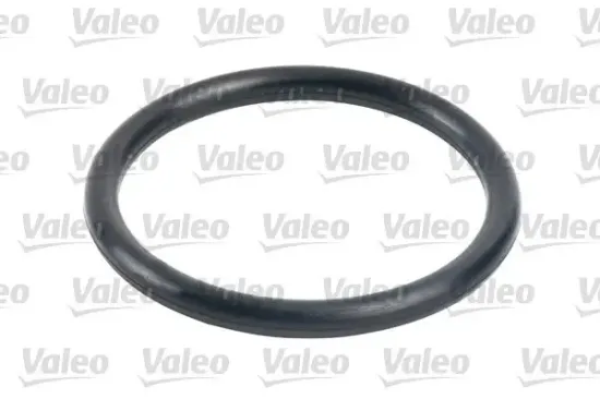 Kraftstofffilter VALEO 587716 Bild Kraftstofffilter VALEO 587716
