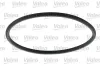 Kraftstofffilter VALEO 587919 Bild Kraftstofffilter VALEO 587919