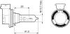 Glühlampe, Fernscheinwerfer 12 V 65 W Halogen H9 VALEO 032011 Bild Glühlampe, Fernscheinwerfer 12 V 65 W Halogen H9 VALEO 032011