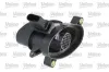 Luftmassenmesser 12 V VALEO 366291
