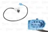 Sensor, Nockenwellenposition 12 V VALEO 253844