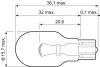 Glühlampe, Blinkleuchte 12 V 16 W W16W VALEO 032215 Bild Glühlampe, Blinkleuchte 12 V 16 W W16W VALEO 032215