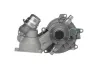 Wasserpumpe, Motorkühlung VALEO 529391