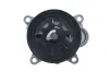 Wasserpumpe, Motork&uuml;hlung VALEO 529613