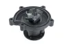 Wasserpumpe, Motorkühlung VALEO 529646 Bild Wasserpumpe, Motorkühlung VALEO 529646