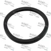 Dichtung, Thermostat SIDAT 94.016116