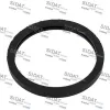 Dichtung, Thermostat SIDAT 94.01668