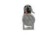 Starter 12 V 1,8 kW BV PSH 550.908.092.210 Bild Starter 12 V 1,8 kW BV PSH 550.908.092.210
