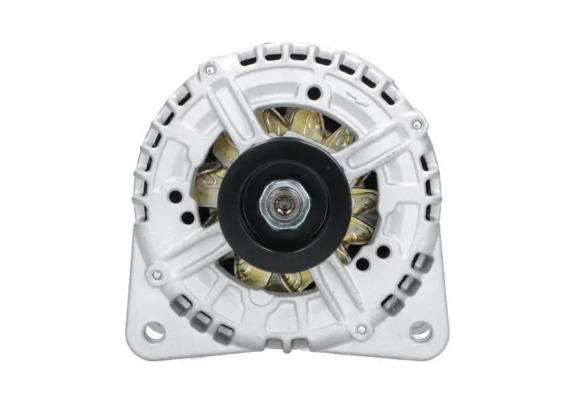 Generator 12 V BV PSH 205.517.180.010