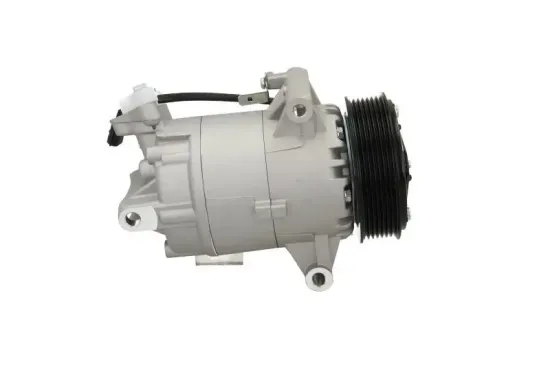 Kompressor, Klimaanlage BV PSH 090.165.015.040 Bild Kompressor, Klimaanlage BV PSH 090.165.015.040