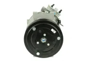 Kompressor, Klimaanlage BV PSH 090.105.011.000