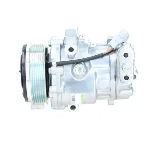 Kompressor, Klimaanlage BV PSH 090.105.014.876 Bild Kompressor, Klimaanlage BV PSH 090.105.014.876