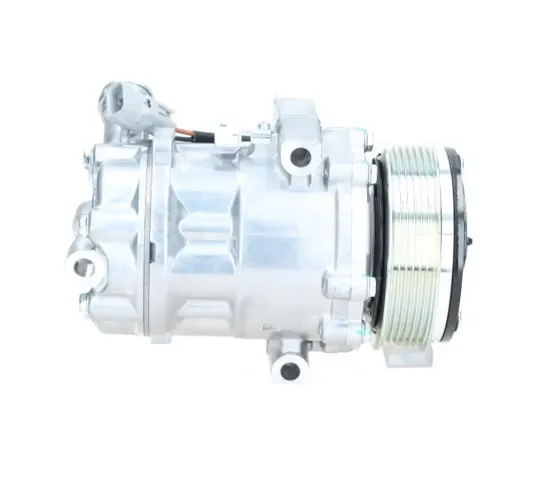 Kompressor, Klimaanlage BV PSH 090.105.014.876 Bild Kompressor, Klimaanlage BV PSH 090.105.014.876