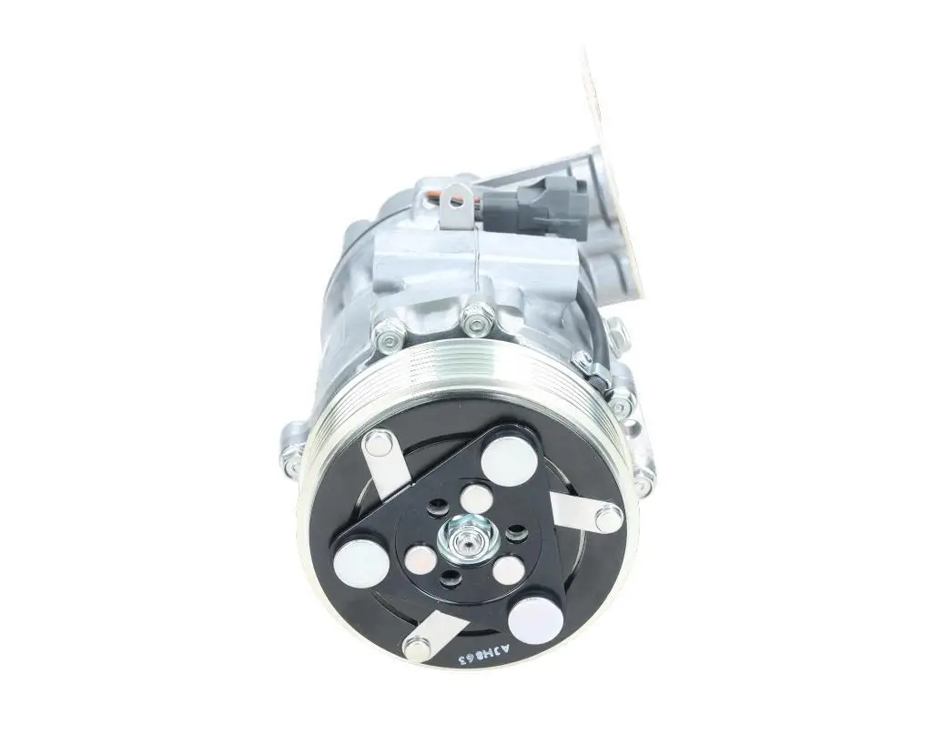 Kompressor, Klimaanlage BV PSH 090.105.014.905