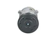 Kompressor, Klimaanlage BV PSH 090.105.016.000