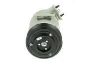Kompressor, Klimaanlage BV PSH 090.135.004.050