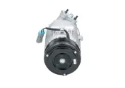 Kompressor, Klimaanlage BV PSH 090.135.020.040