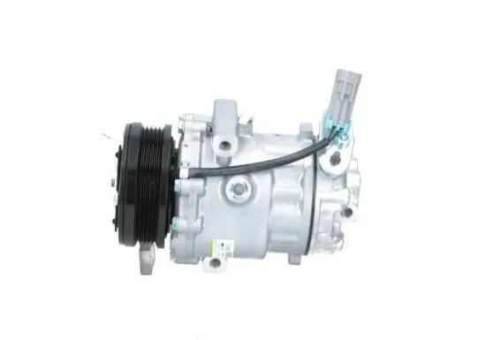 Kompressor, Klimaanlage BV PSH 090.135.024.040 Bild Kompressor, Klimaanlage BV PSH 090.135.024.040