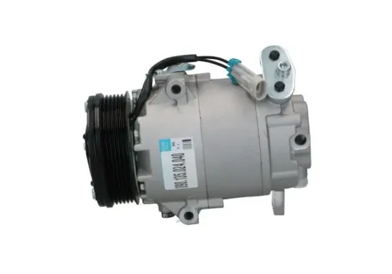 Kompressor, Klimaanlage BV PSH 090.135.033.040 Bild Kompressor, Klimaanlage BV PSH 090.135.033.040