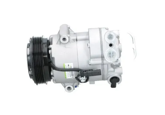 Kompressor, Klimaanlage BV PSH 090.135.037.040 Bild Kompressor, Klimaanlage BV PSH 090.135.037.040