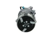 Kompressor, Klimaanlage BV PSH 090.135.040.876