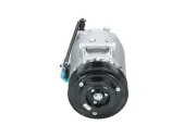 Kompressor, Klimaanlage BV PSH 090.135.074.040