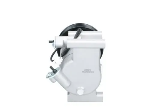 Kompressor, Klimaanlage BV PSH 090.145.010.200 Bild Kompressor, Klimaanlage BV PSH 090.145.010.200