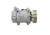 Kompressor, Klimaanlage BV PSH 090.165.018.905 Bild Kompressor, Klimaanlage BV PSH 090.165.018.905