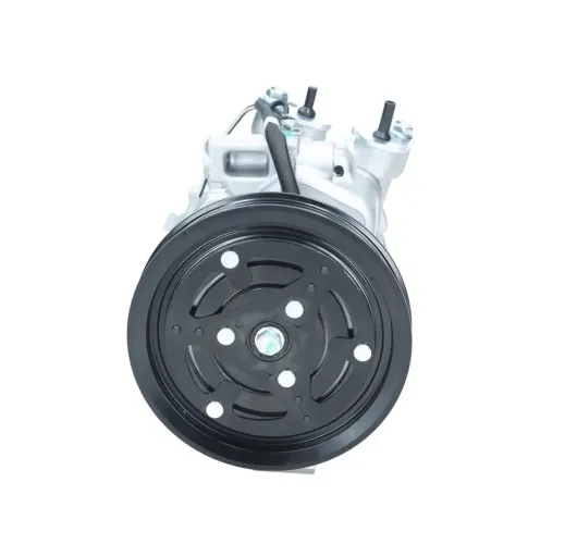 Kompressor, Klimaanlage BV PSH 090.165.041.050 Bild Kompressor, Klimaanlage BV PSH 090.165.041.050