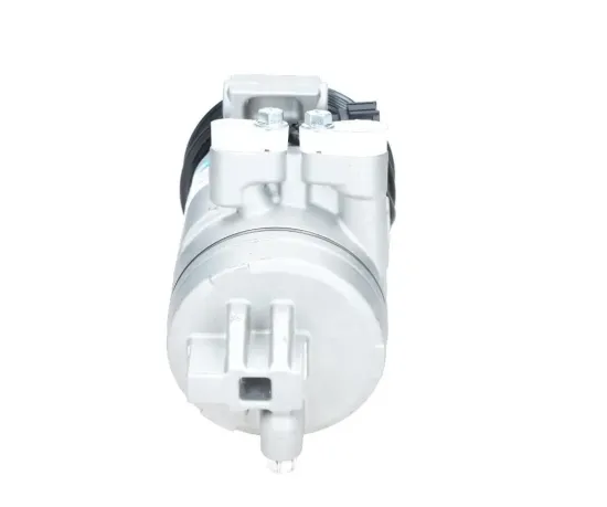 Kompressor, Klimaanlage BV PSH 090.165.048.000 Bild Kompressor, Klimaanlage BV PSH 090.165.048.000