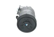 Kompressor, Klimaanlage BV PSH 090.225.040.876